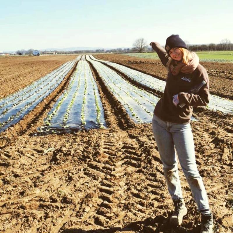 Greta auf dem Acker mit Salatpflanzen