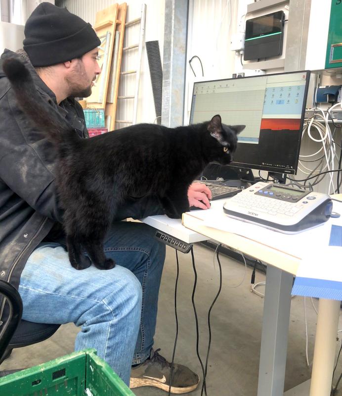 Philipp mit Katze am PC im Gewächshaus