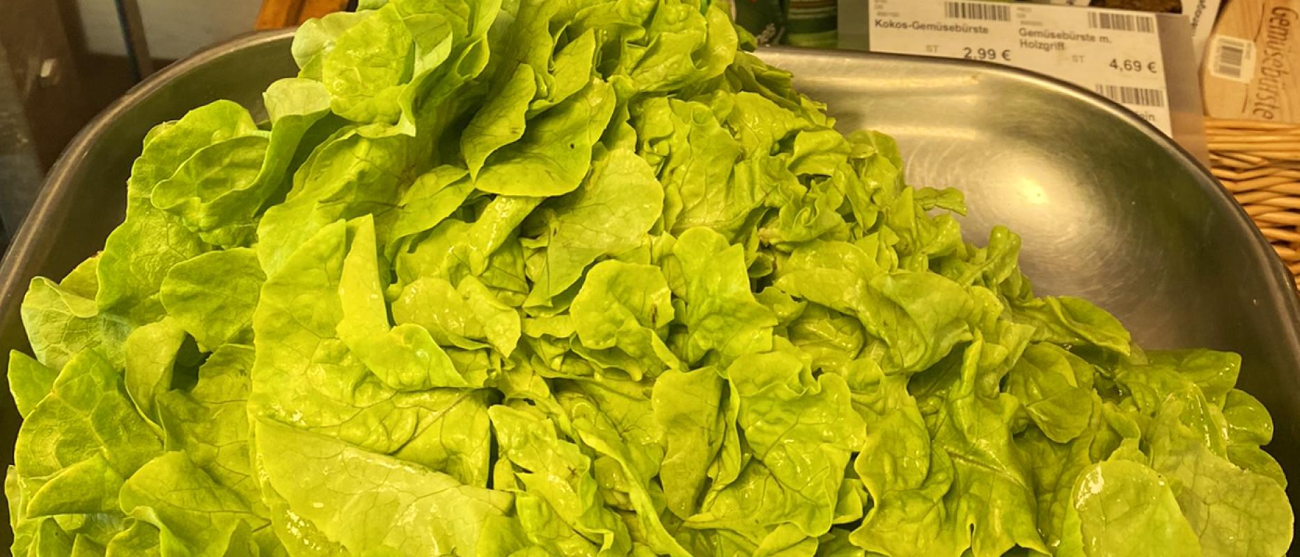 „Wasser macht dick!?“