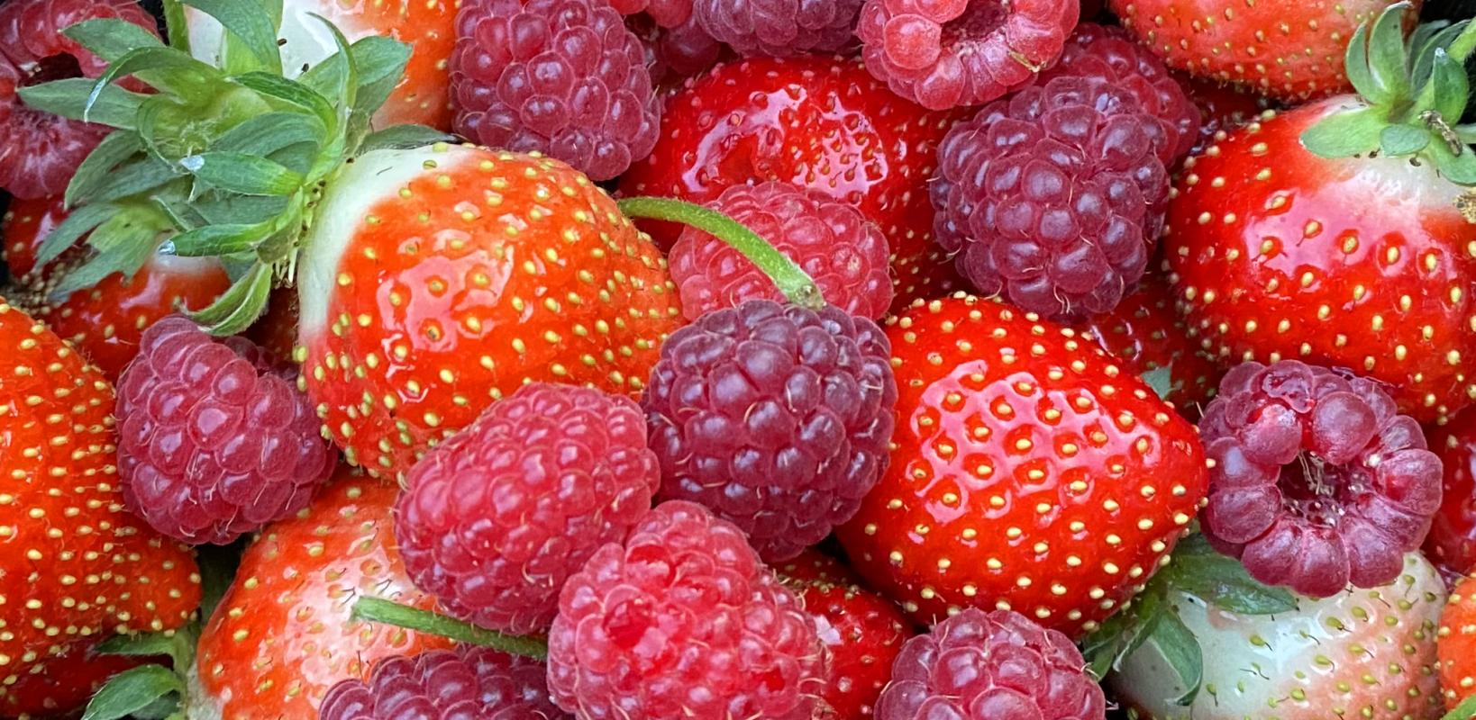 Erdbeeren und Himbeeren