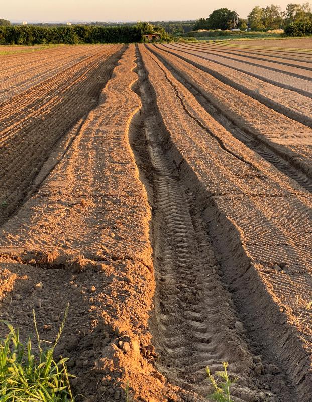 Wellige Spur auf dem Acker