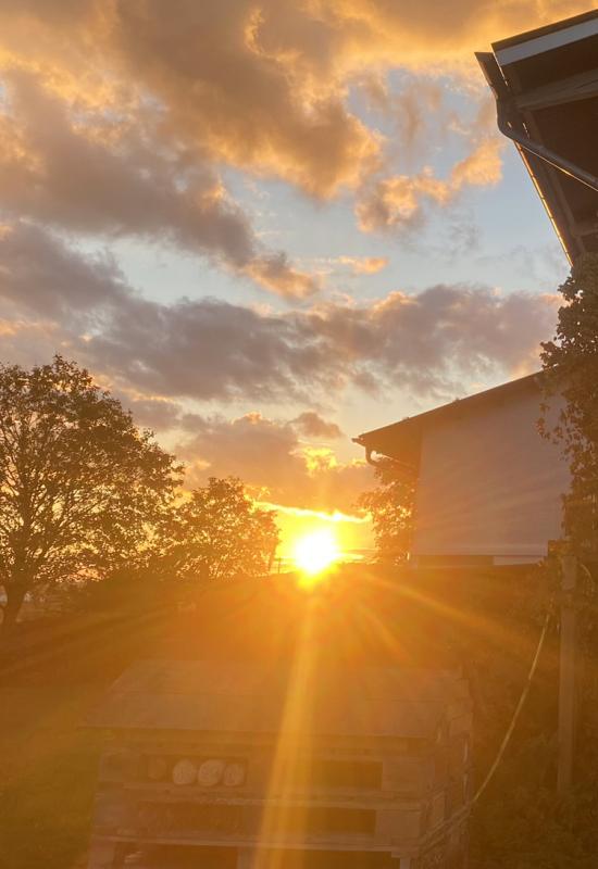 Goldener Oktober Hofladen im Sonnenuntergang