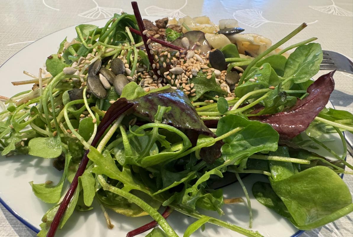 Wintersalat-Mix auf dem Teller