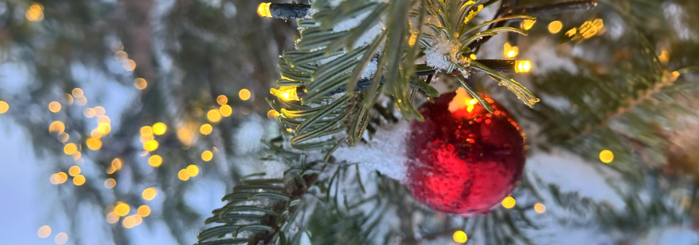 Weihnachtsbaum Kugel mit Schnee