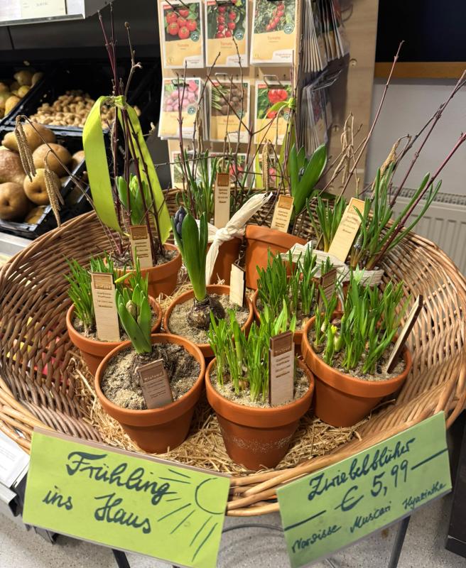 Frühblüher im Hofladen