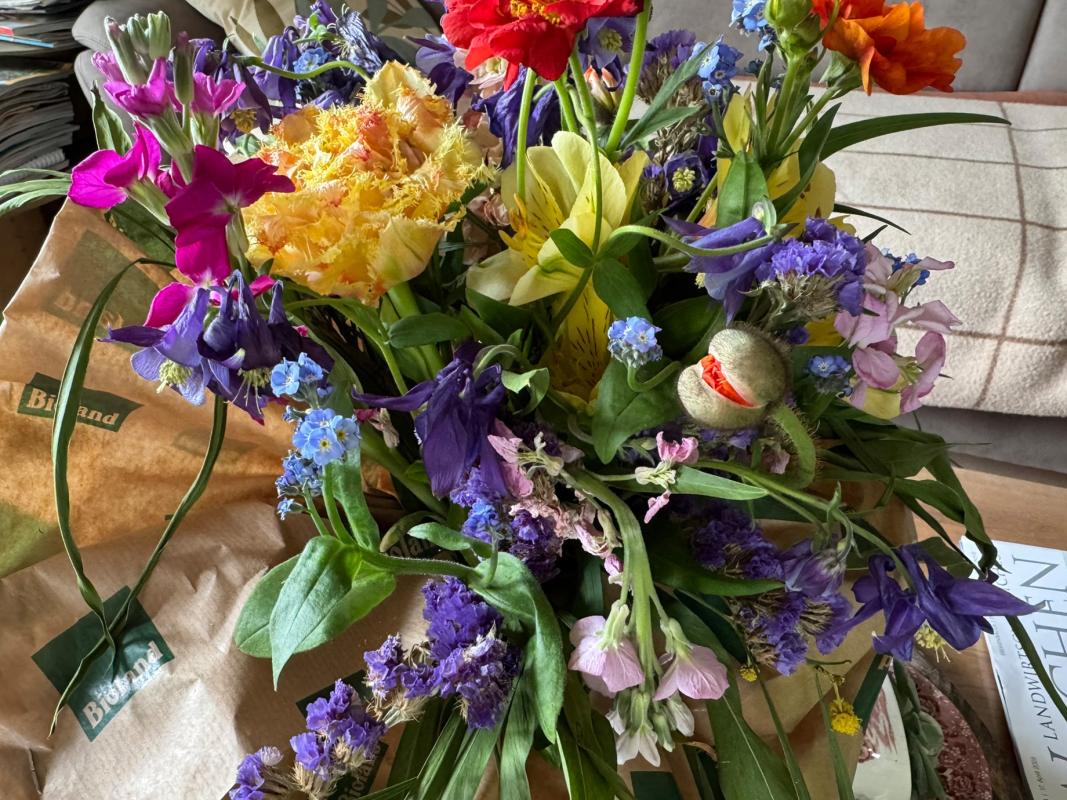 Bioland Blumen