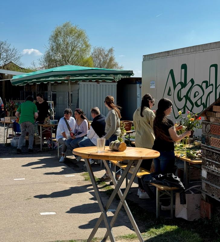 Hallo Frühling Besucher Hof