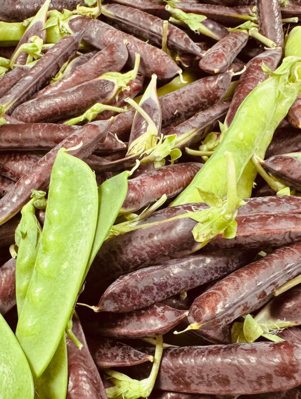 Erbsen und Zuckerschoten