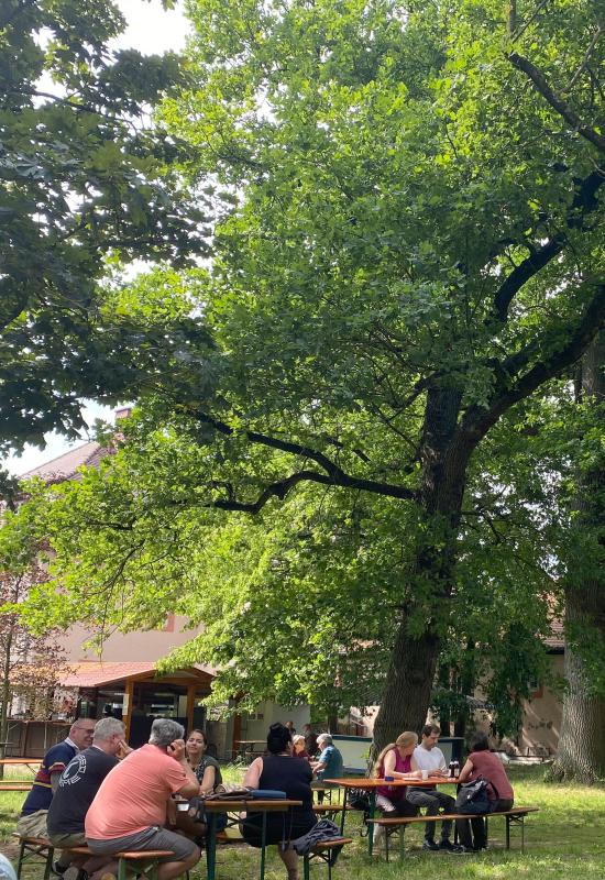 Hofgut Patershausen Biergarten / Straußenwirtschaft