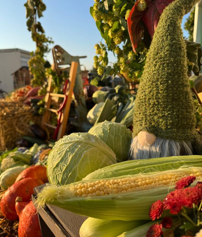 Erntedankdeko Hofladen 2025