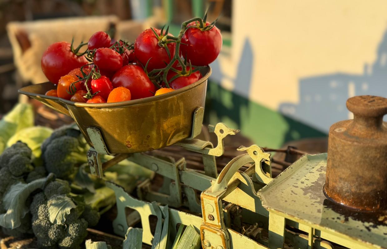 Erntedankdeko Hofladen 2025