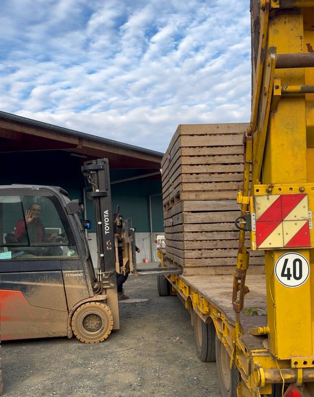 Kartoffeln abladen mit dem Stapler