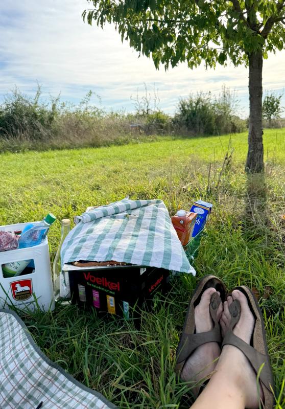Picknick in der Streuobstwiese