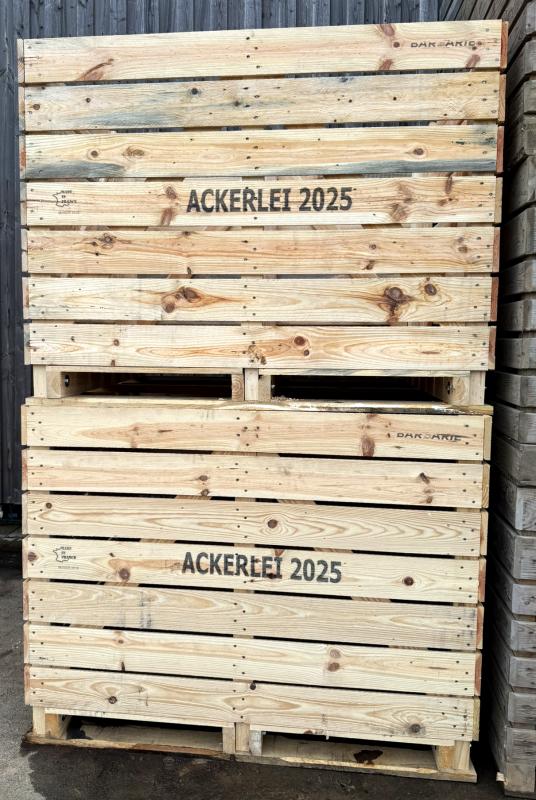 neue Großkisten 2025