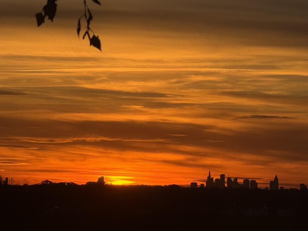 Skyline Frankfurt im Sonnenuntergang