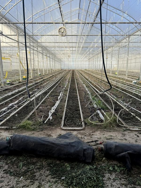 Gewächshaus Saisonende