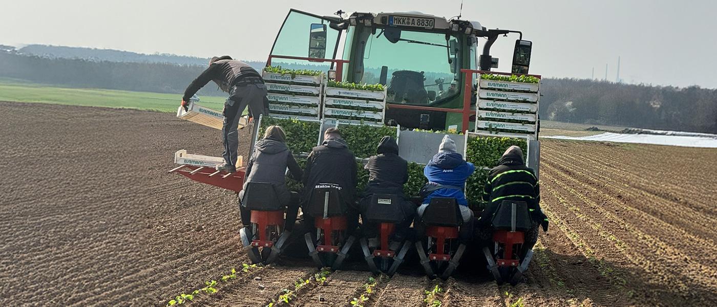 Nichts für Langschlaefer