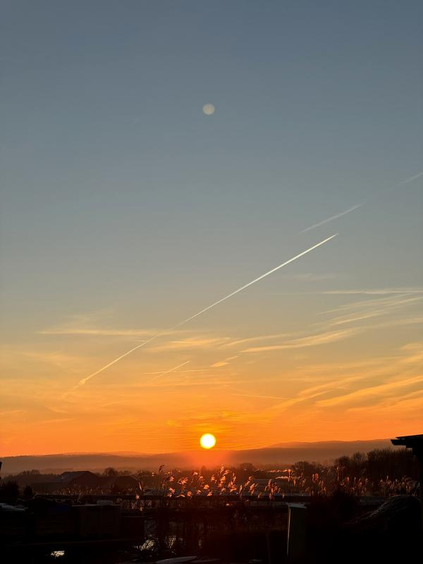Sonnenaufgang überm Teich
