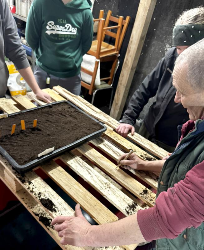 Thomas erklärt den Pflanzenaufbau