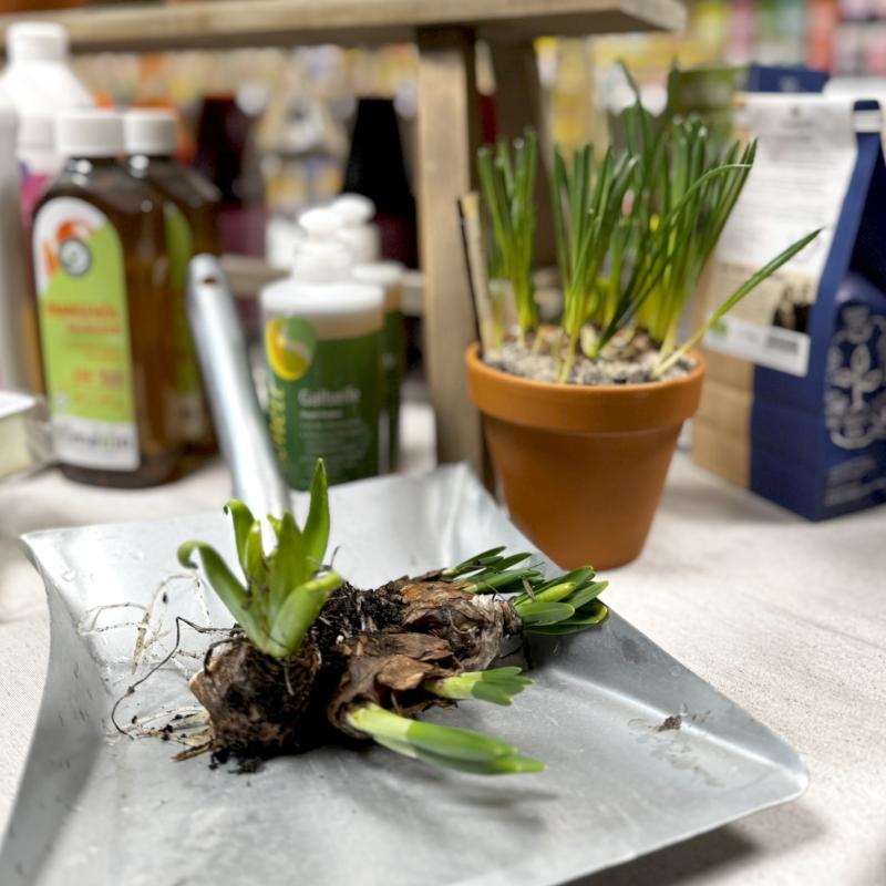 Ladendeko Frühlingsputz