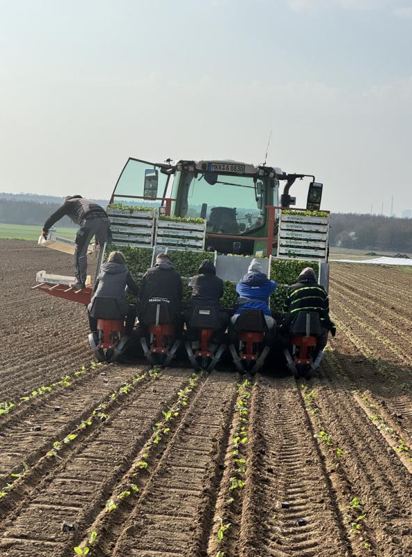 Nichts für Langschlaefer