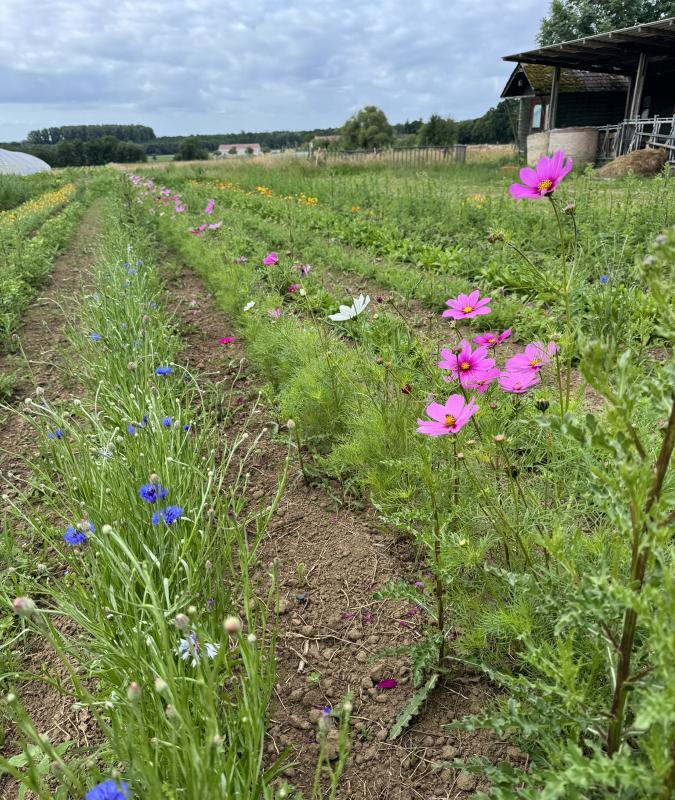 Blumenacker Hofladen